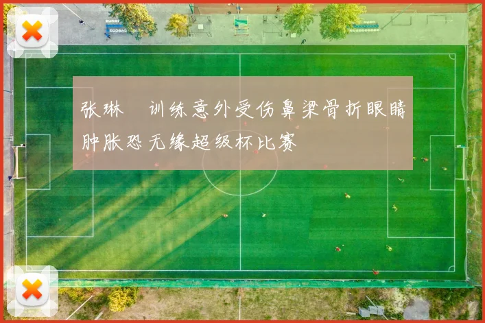 张琳芃训练意外受伤鼻梁骨折眼睛肿胀恐无缘超级杯比赛